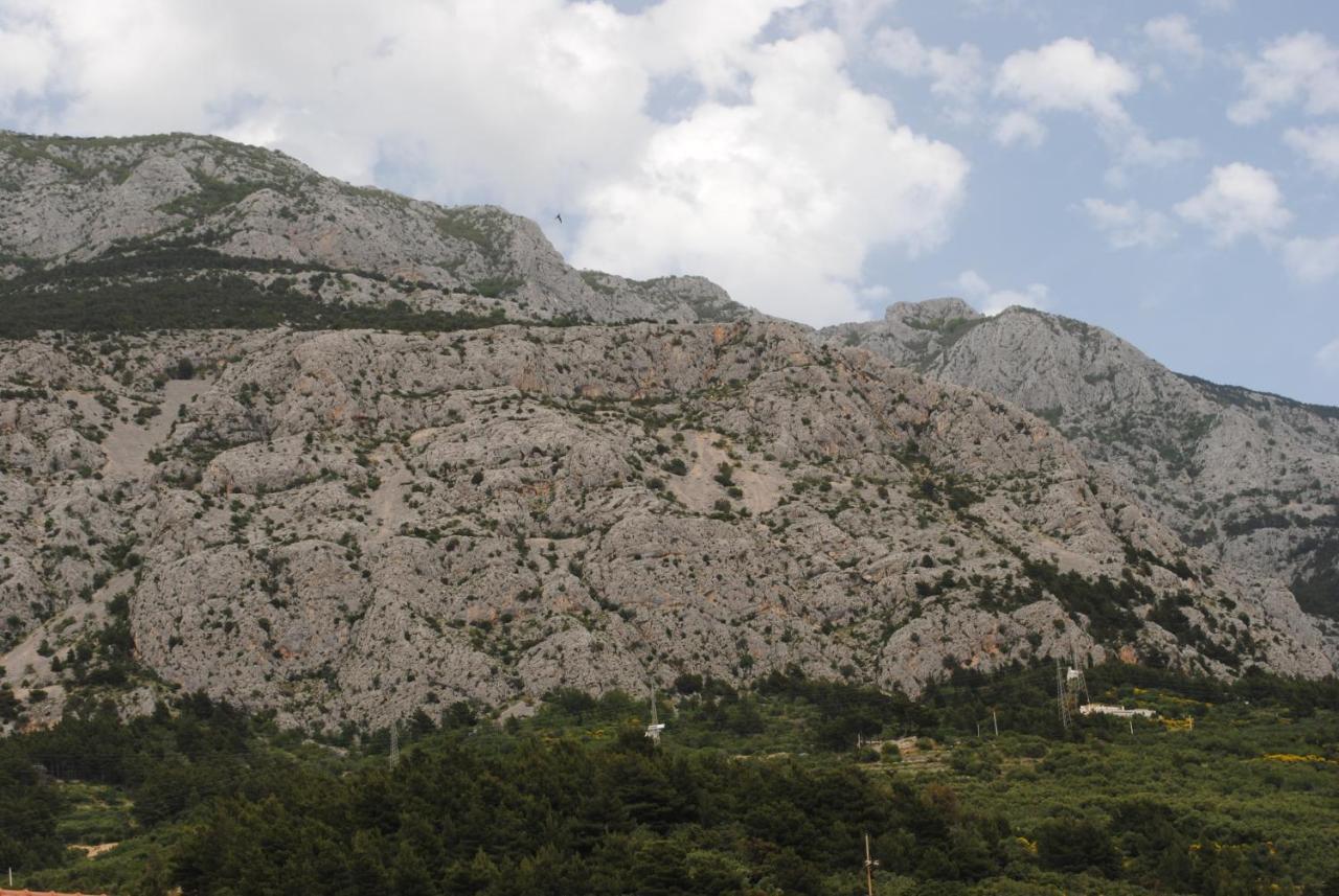 Apartments Natura Makarska Exteriör bild